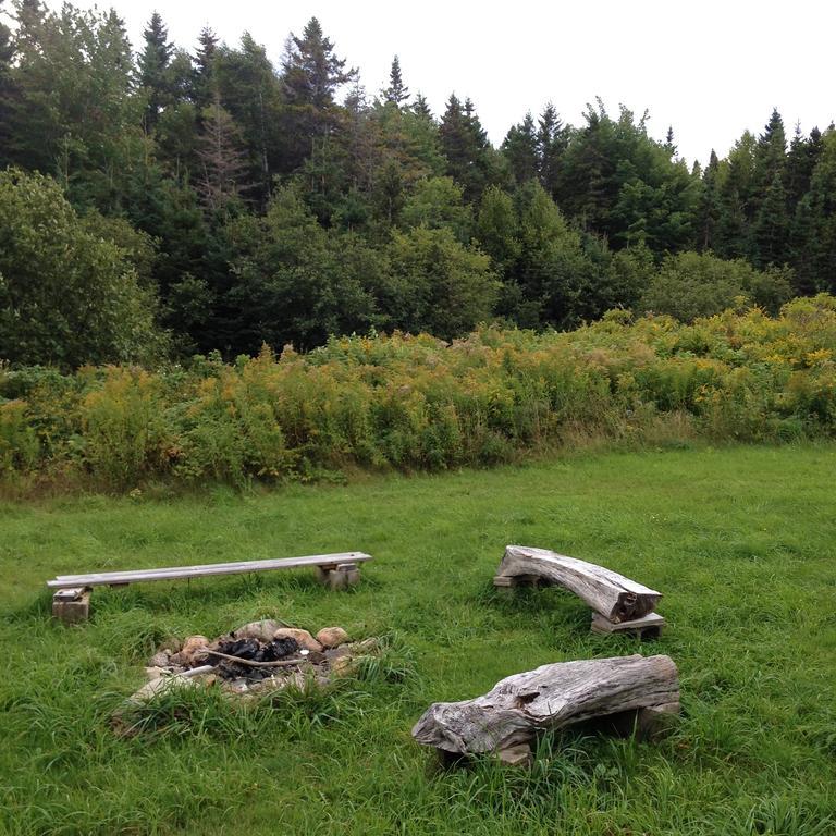 Breton Cove Farmhouse Hostal Indian Brook Exterior foto