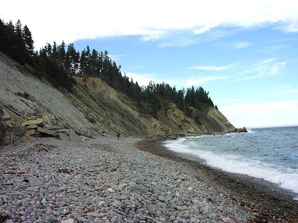 Breton Cove Farmhouse Hostal Indian Brook Exterior foto