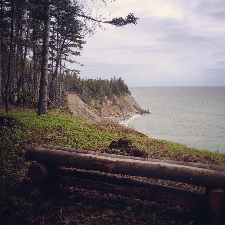 Breton Cove Farmhouse Hostal Indian Brook Exterior foto